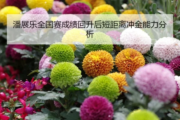 潘展乐全国赛成绩回升后短距离冲金能力分析