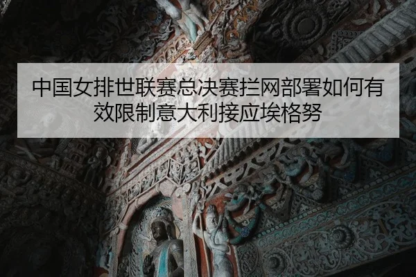 中国女排世联赛总决赛拦网部署如何有效限制意大利接应埃格努
