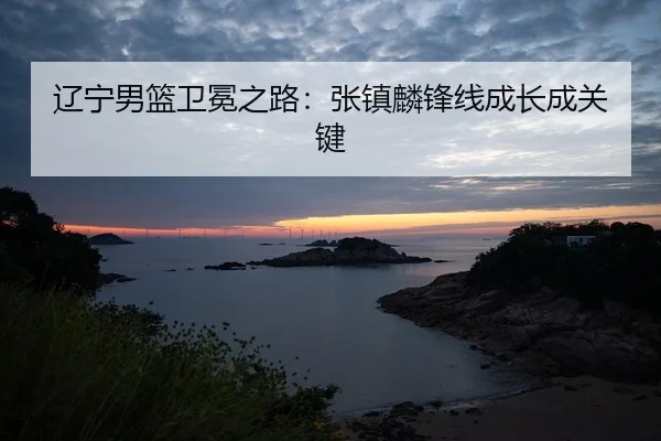 liao-ning-nan-lan-wei-mian-zhi-lu-zhang-zhen-lin-feng-xian-cheng-zhang-cheng-guan-jian-2-337.jpg